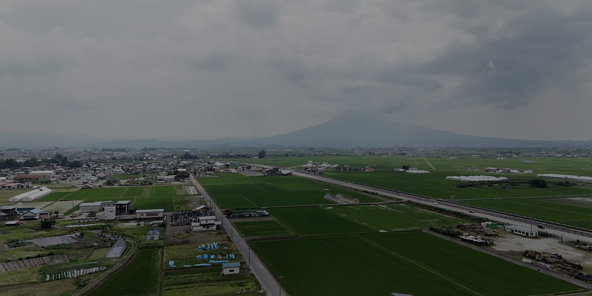 bg_pala